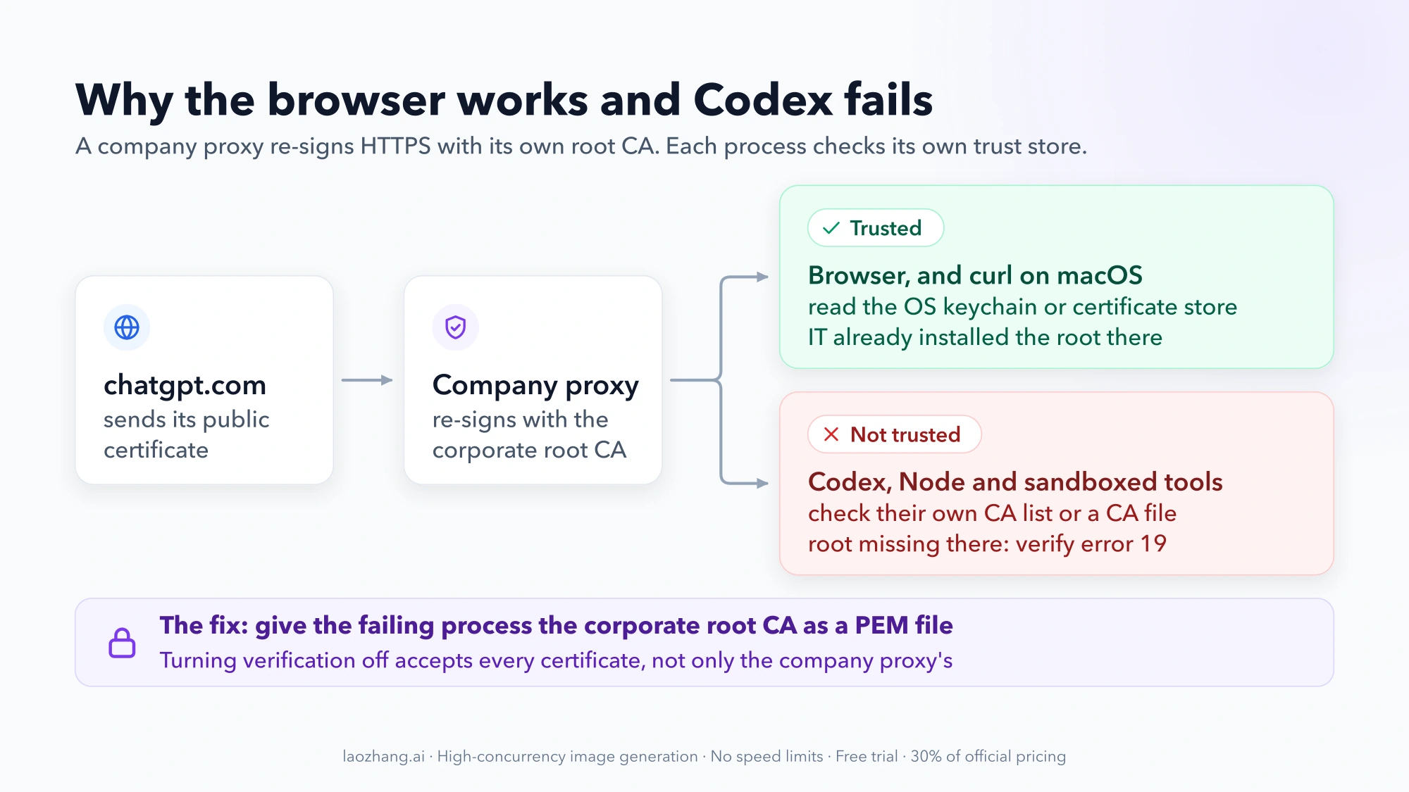 Diagram of chatgpt.com traffic re-signed by a company proxy: the browser and macOS curl trust it through the OS store, while Codex, Node and sandboxed tools fail with verify error 19