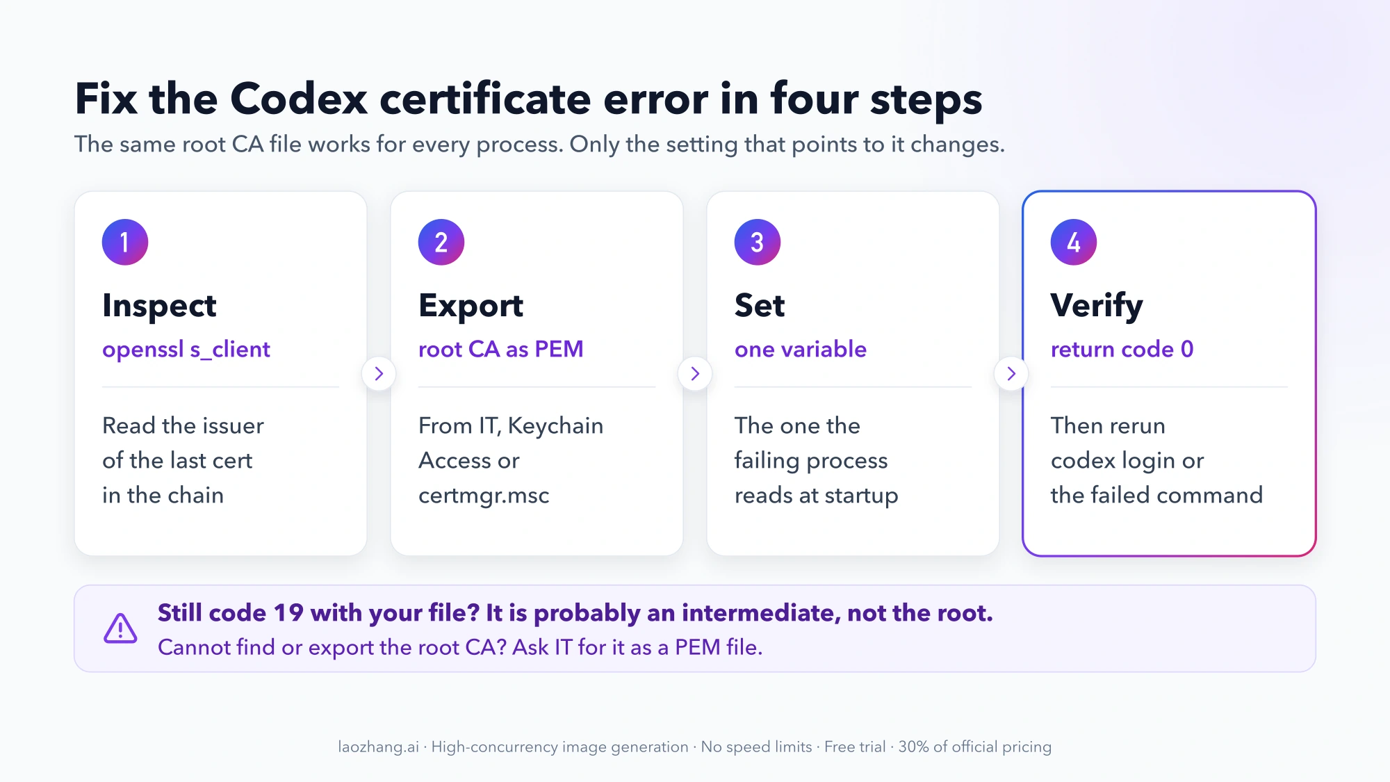 Four numbered cards for the Codex certificate fix: inspect with openssl s_client, export the root CA as PEM, set one variable, verify return code 0