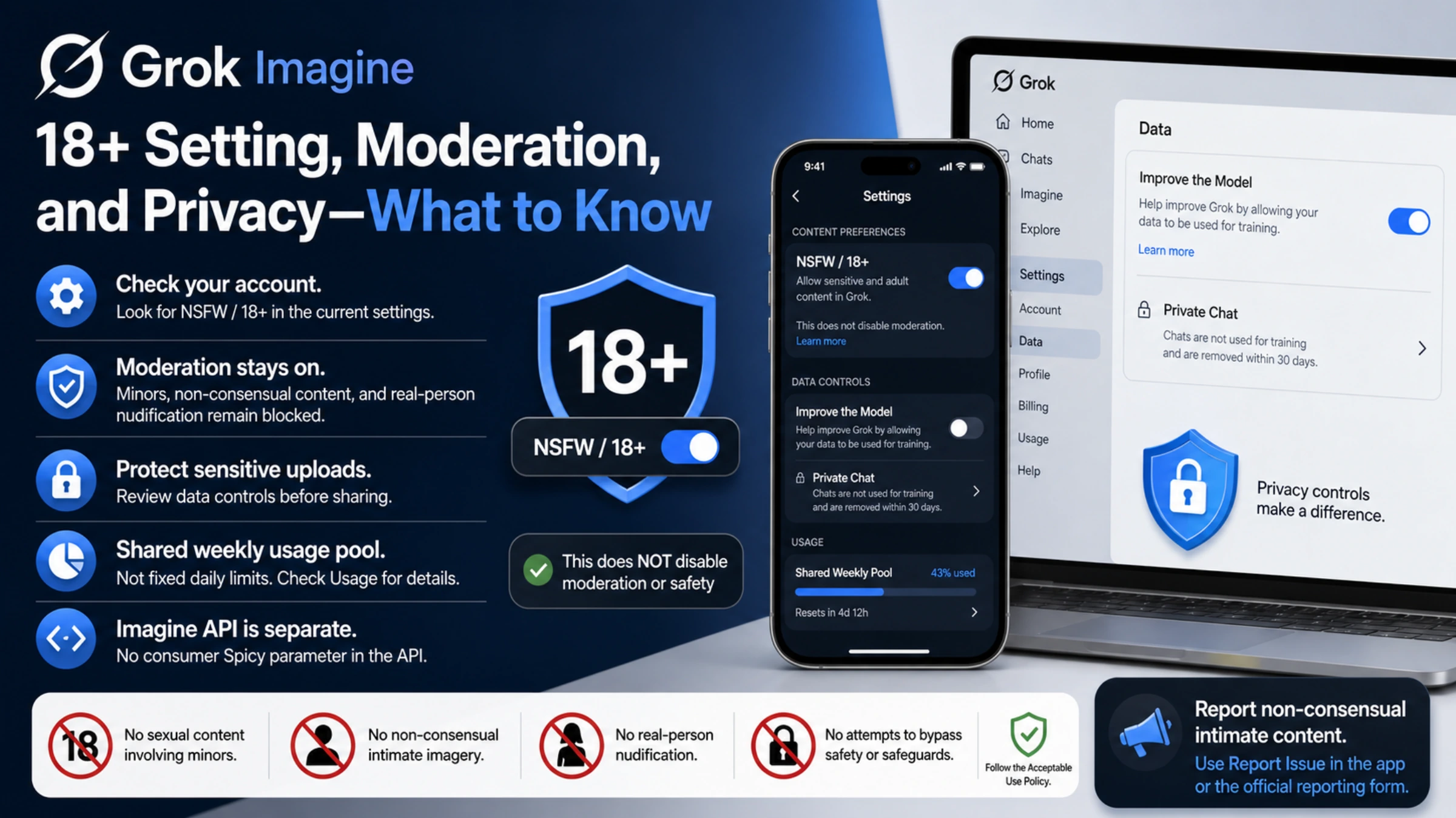 Grok Imagine 18+ settings overview showing moderation, privacy controls, weekly usage, API separation, and reporting